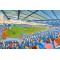 Palmerston Park Stadium Fine Art Print - Queen of the South FC